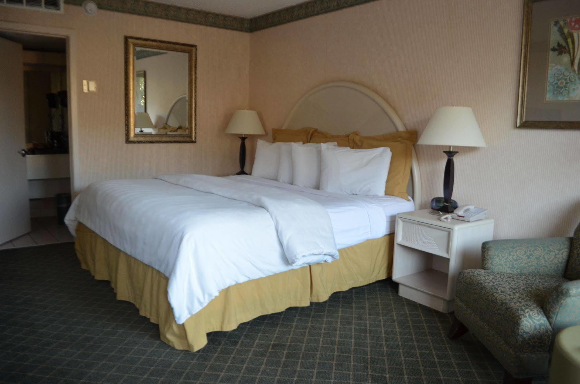Chapel Hill University Inn Exterior foto